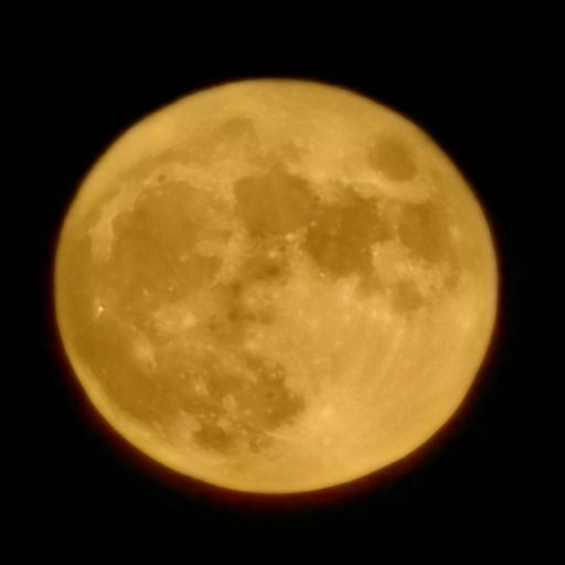 電波探知