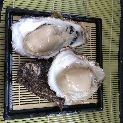 だいじん