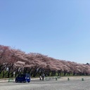 青空商店さんのプロフィール画像