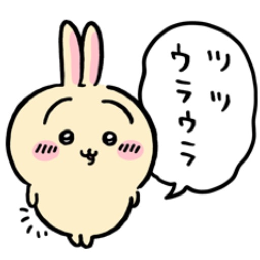RIMA(基本即日発送)