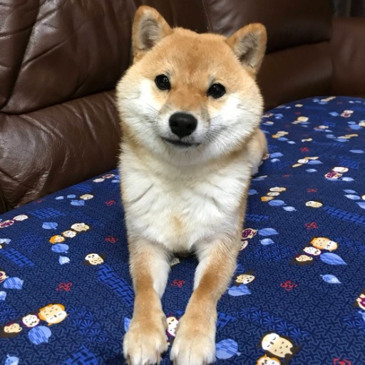 ふくまま