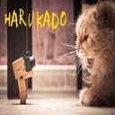HARUKADOさんのプロフィール画像