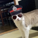 断捨離 猫太郎さんのプロフィール画像