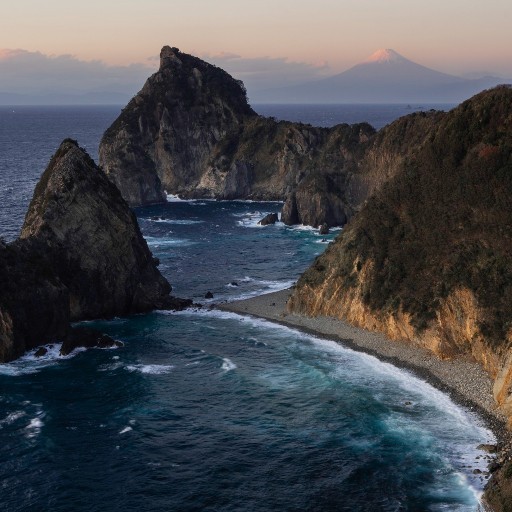 ジャンピエール カシニョール DIANE PROFIL｜Yahoo!フリマ（旧PayPay