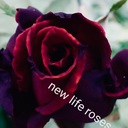 NEW LIFE ROSESさんのプロフィール画像