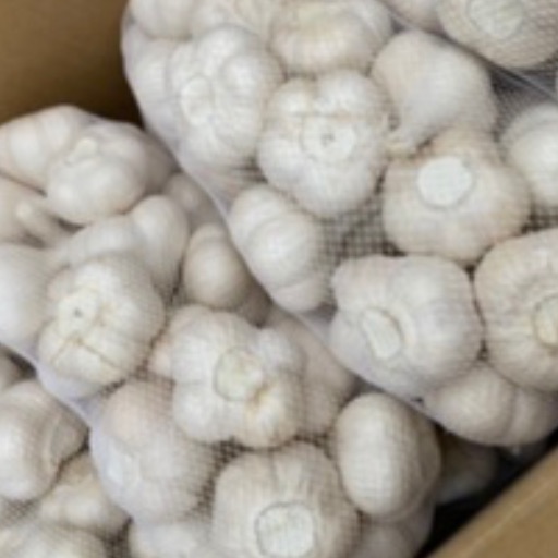青森県産 バラにんにく 10kg MS｜Yahoo!フリマ（旧PayPayフリマ）