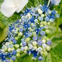 たろ。8.2-8.10発送不可。さんのプロフィール画像