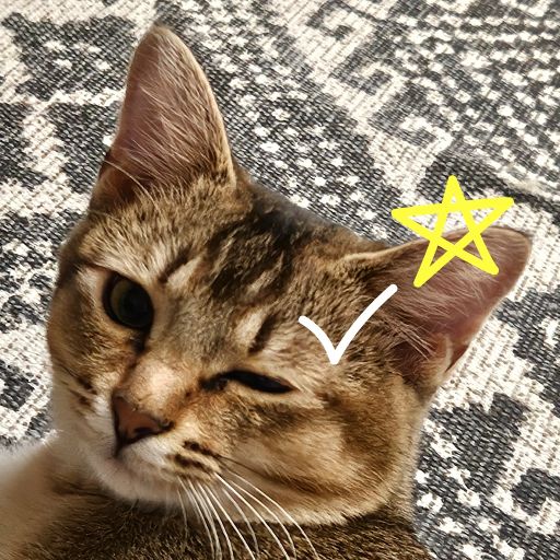 3izUeXKcbyPNGxveYrAmX7hQqnCC9