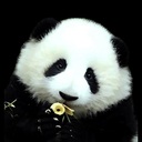 panda pandaさんのプロフィール画像