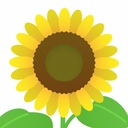sunflower画像