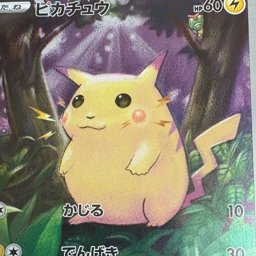 センタリング良】ポケモンカード メガダークライEX SAR 114/081