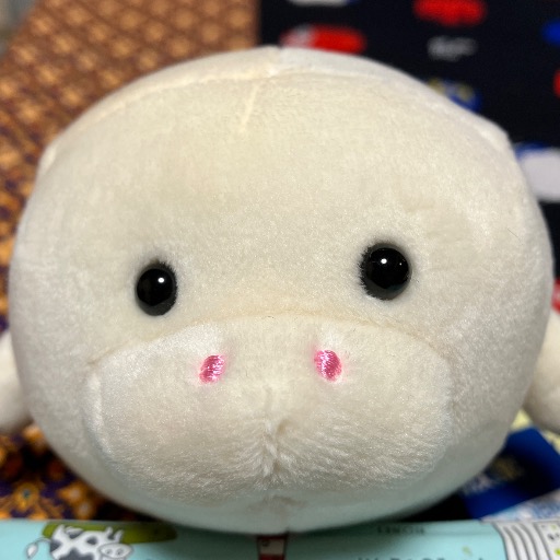 ごんた