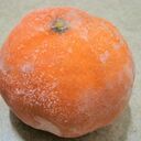 冷凍蜜柑さんのプロフィール画像