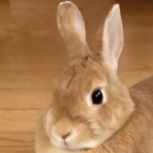 はちみつ