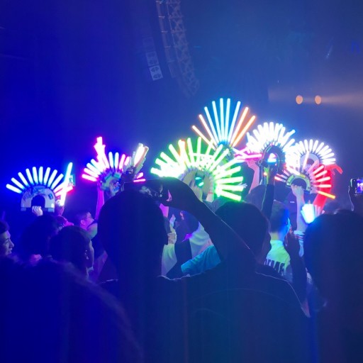 改造ペンライト 虹孔雀 フルカラー孔雀 10連 改チア｜Yahoo!フリマ（旧