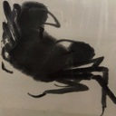 washinさんのプロフィール画像