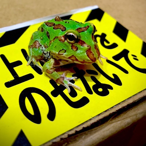 VALIEM MONSTER MOUTH SLIME （W P ）｜Yahoo!フリマ（旧PayPayフリマ）