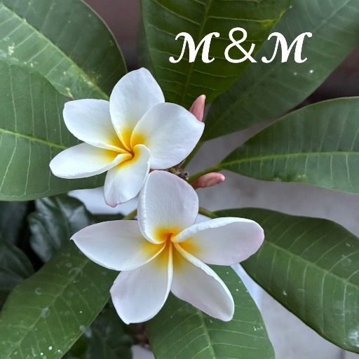 marin0420