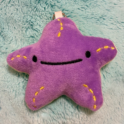 シーコ