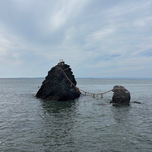 やはまる