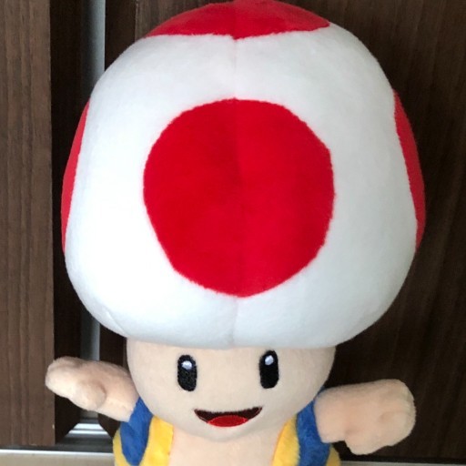 きのこ