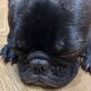 かめまるさんのプロフィール画像