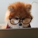 てくんさんのプロフィール画像