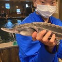 だいのまるさんのプロフィール画像