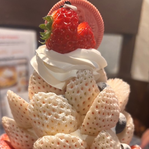にゃんぱいあ にゃてんし 着ぐるみ フリーサイズ｜Yahoo!フリマ（旧