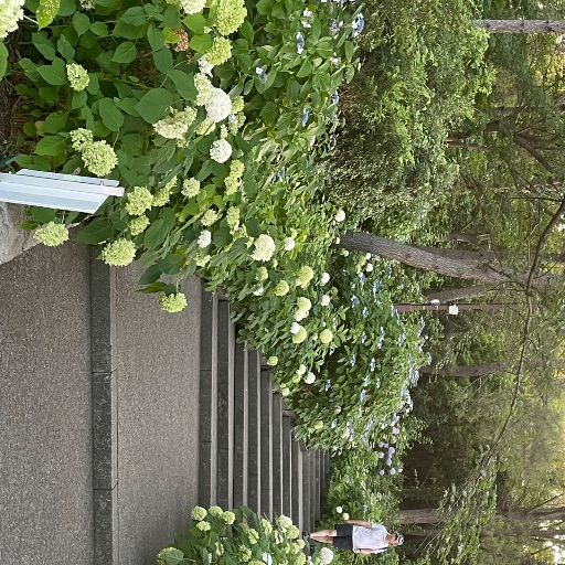 シュンカ