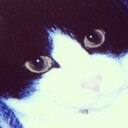awa_catさんのプロフィール画像