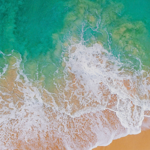 返品 交換対象商品 シャネル ラッピングリボン 定番 3ロール ラッピング用リボン 紐 Reachahand Org