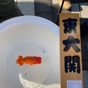 熊野養魚場さんのプロフィール画像