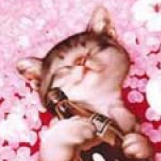 ちこちこちーこ