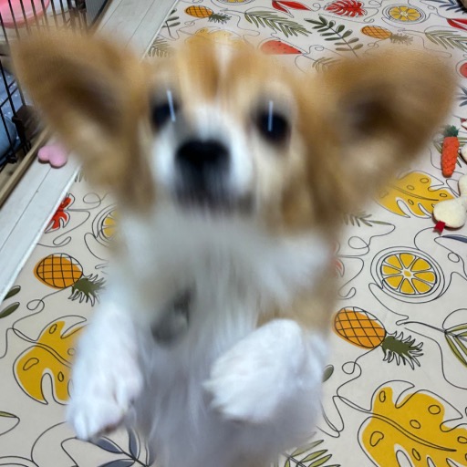 ベルのまま