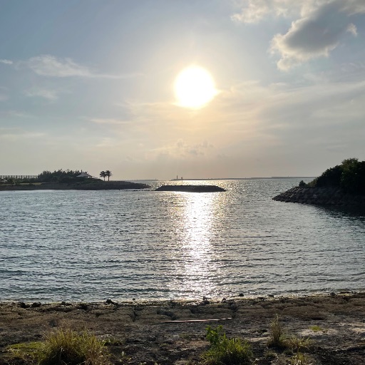 Sprit Designs Spring 6セット 100pcs｜Yahoo!フリマ（旧PayPayフリマ）