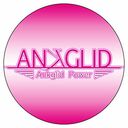 ANKGLIDPowerヤフオク!店さんのプロフィール画像