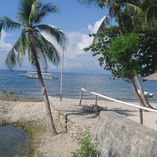 キョウ@即購入OKです!