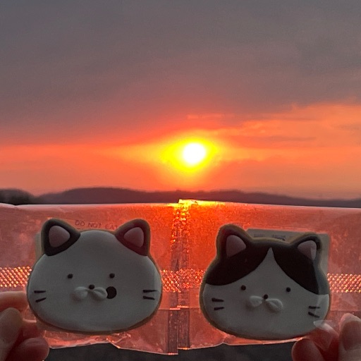 モモンガハウス (カニ柄) 夏仕様  涼しい夏生地を使用❗️ 1450円 ちいかわ×くら寿司 オリジナル下敷き モモンガ 古本屋(カニちゃん) 未