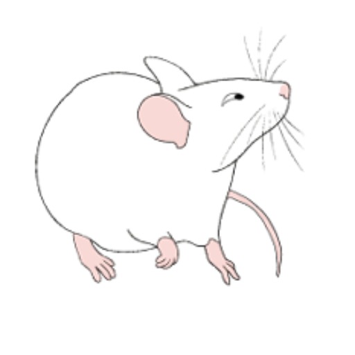DearAlgernon