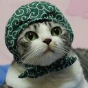 あおむしさんのプロフィール画像