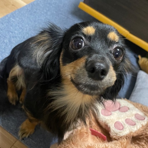 3spbYx6YAYyxp4iMVyfVZcsq3nCeb