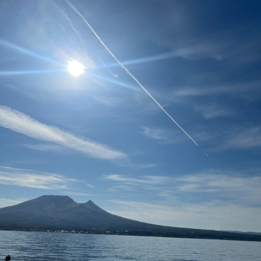 海