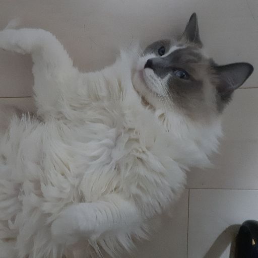 DYQQpgL834eX1EaGyDmvZai8aZyyk