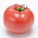 トマトオークションさんのプロフィール画像