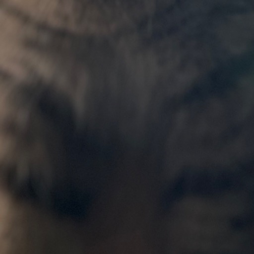 三児の母、猫飼ってます 値下げ×