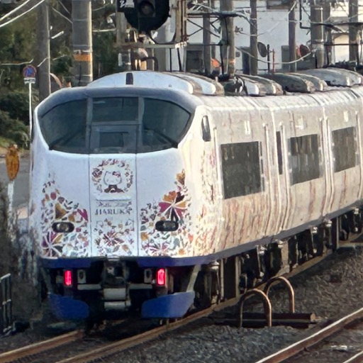 Yahoo!オークション - ハルカさんの出品リスト