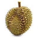 Durianさんのプロフィール画像