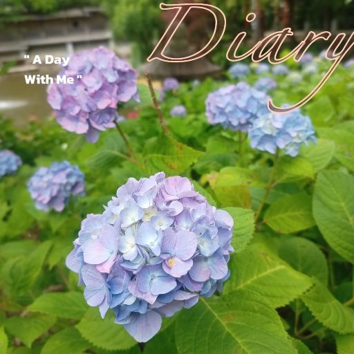 心理学の本と昭和のお宝NoRiN