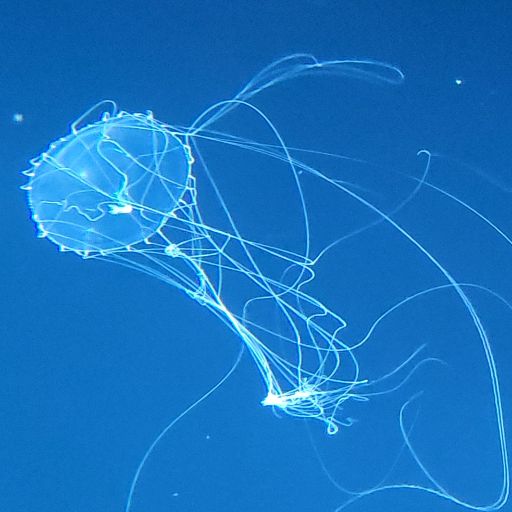 バラ売り】 にじさんじ 小柳ロウ 香水 フレグランス Anideal アニ